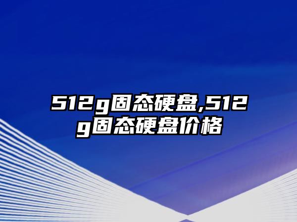 512g固態(tài)硬盤,512g固態(tài)硬盤價格