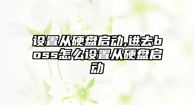 設(shè)置從硬盤啟動,進去boss怎么設(shè)置從硬盤啟動