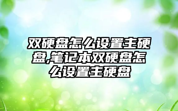 雙硬盤怎么設(shè)置主硬盤,筆記本雙硬盤怎么設(shè)置主硬盤