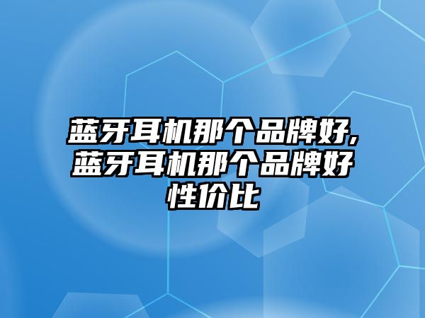 藍(lán)牙耳機(jī)那個(gè)品牌好,藍(lán)牙耳機(jī)那個(gè)品牌好性?xún)r(jià)比