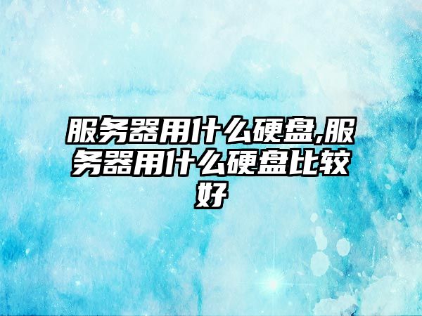 服務(wù)器用什么硬盤,服務(wù)器用什么硬盤比較好