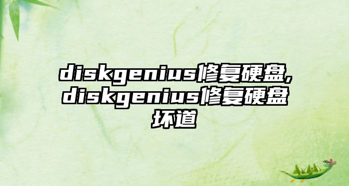 diskgenius修復硬盤,diskgenius修復硬盤壞道