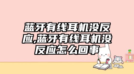 藍(lán)牙有線耳機(jī)沒(méi)反應(yīng),藍(lán)牙有線耳機(jī)沒(méi)反應(yīng)怎么回事