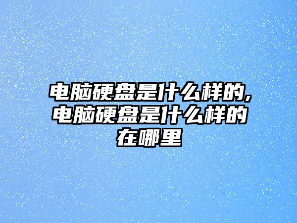 電腦硬盤是什么樣的,電腦硬盤是什么樣的在哪里